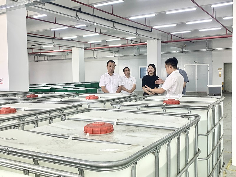 政企连心·共促发展|东莞市东城区政府领导莅临金年会新材参观指导